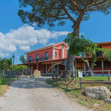 Bed & Breakfast Terra Di Vento Montecorvino Pugliano